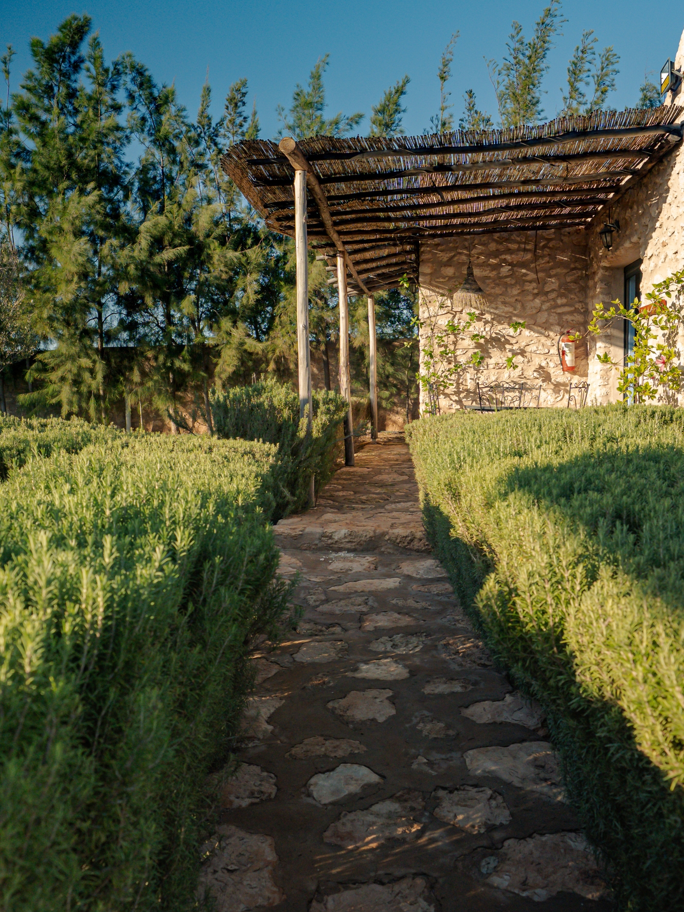 Jardin & espaces détente